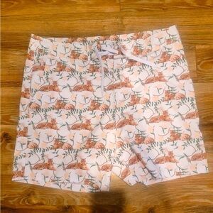 Kortni Jeane Men’s Swim Trunks/Shorts/Swimwear/Bottoms/Tigers Size 36